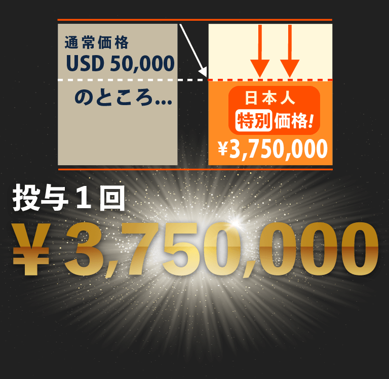 投与一回の価格