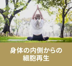 身体の内側からの細胞再生